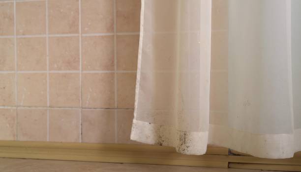 Best Emergency Mold Remediation  in Chesterfield, SC
