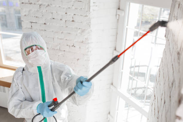 Best Mold Documentation for Insurance Claims  in Chesterfield, SC
