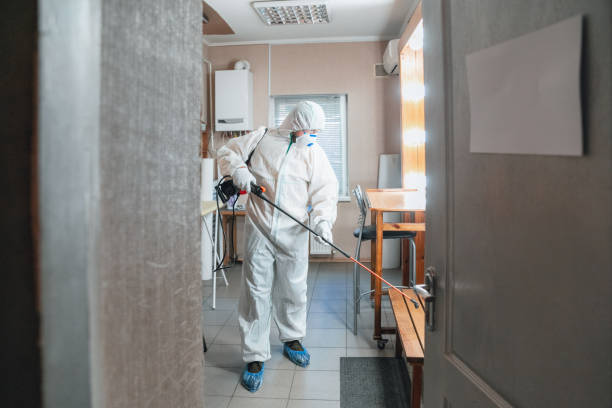 Best Post-Remediation Verification Testing  in Chesterfield, SC