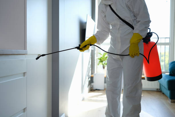 Best Mold Prevention Services  in Chesterfield, SC