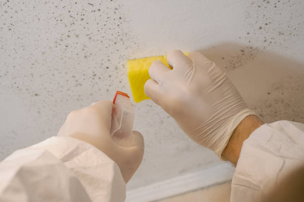 Best Biohazard Mold Removal  in Chesterfield, SC