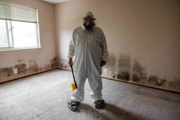 Best Mold Removal for HVAC Installations  in Chesterfield, SC