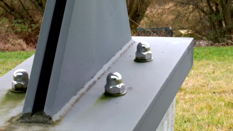 Reliable Chesterfield, SC Mold Removal Solutions